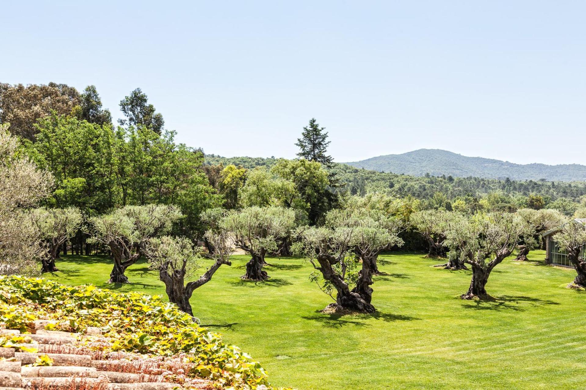 Domaine Les Mesanges Hotel Gassin Exterior photo